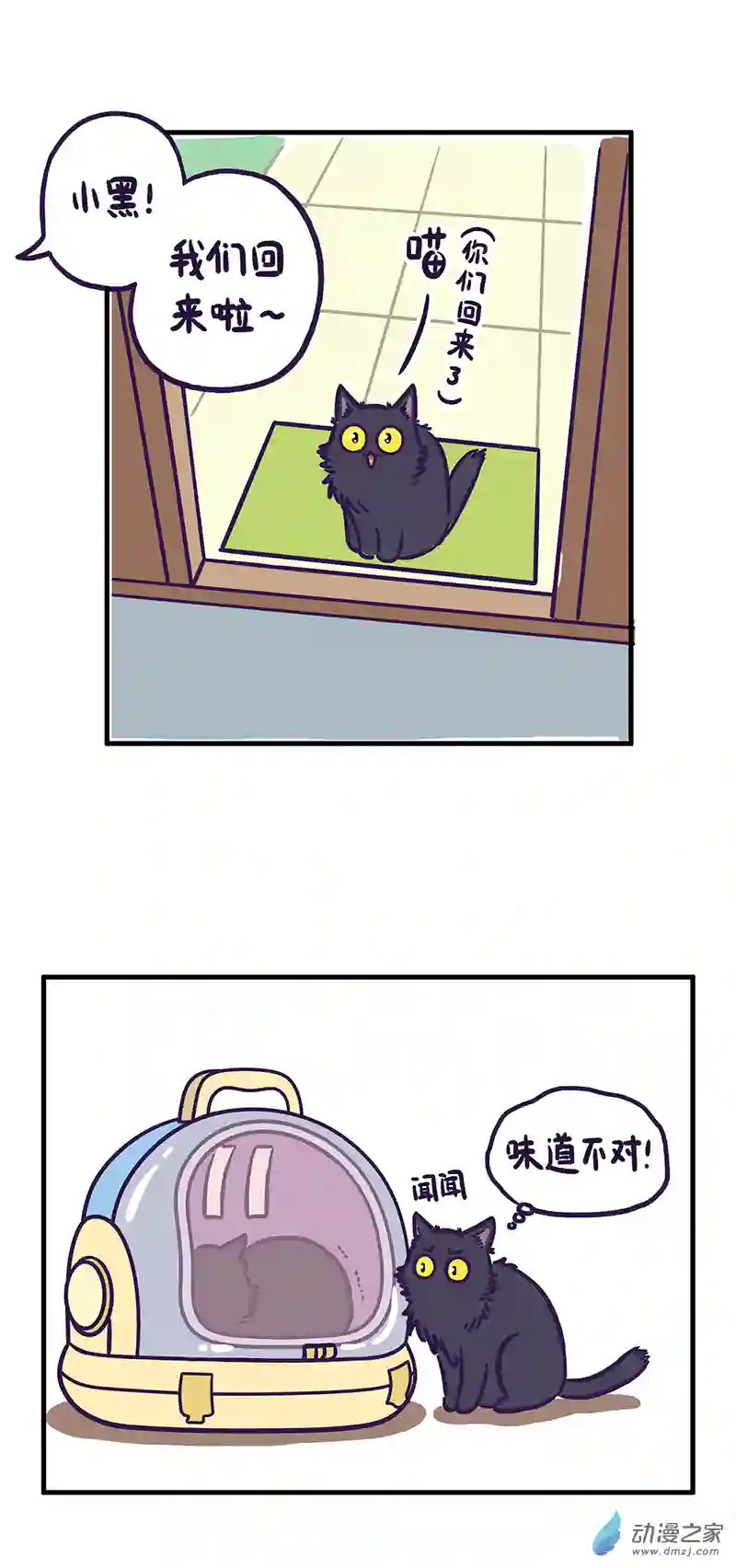 我养的可能不是猫，是...第14话 惊恐一日游（下）