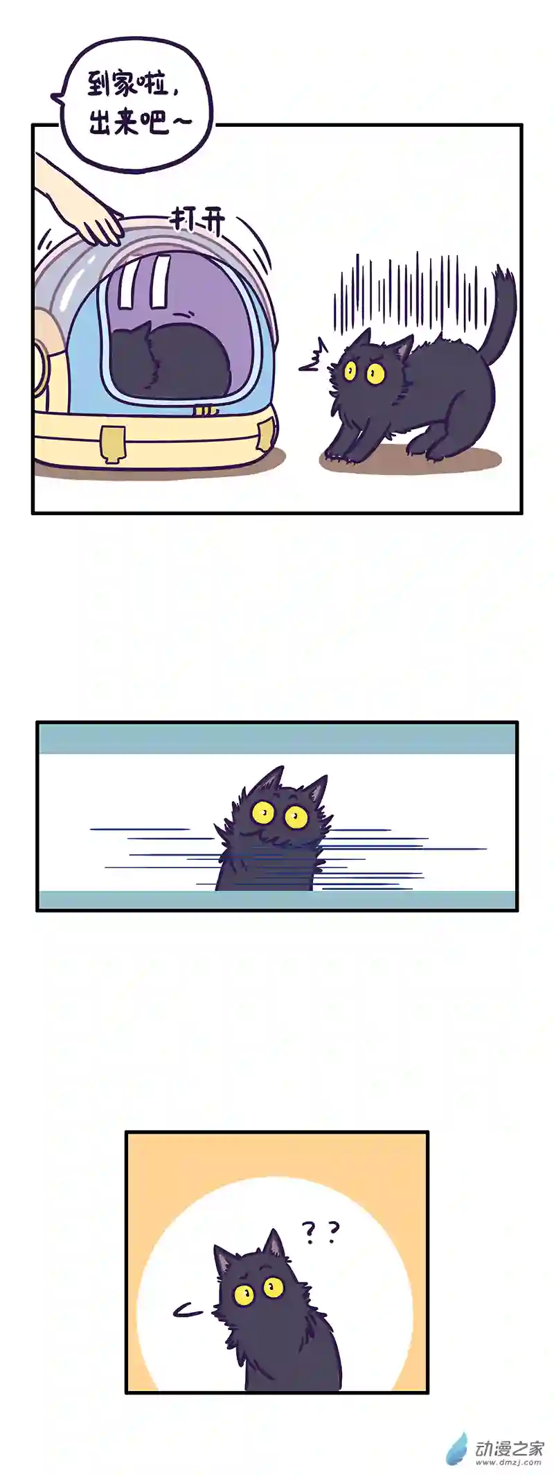 我养的可能不是猫，是...第14话 惊恐一日游（下）