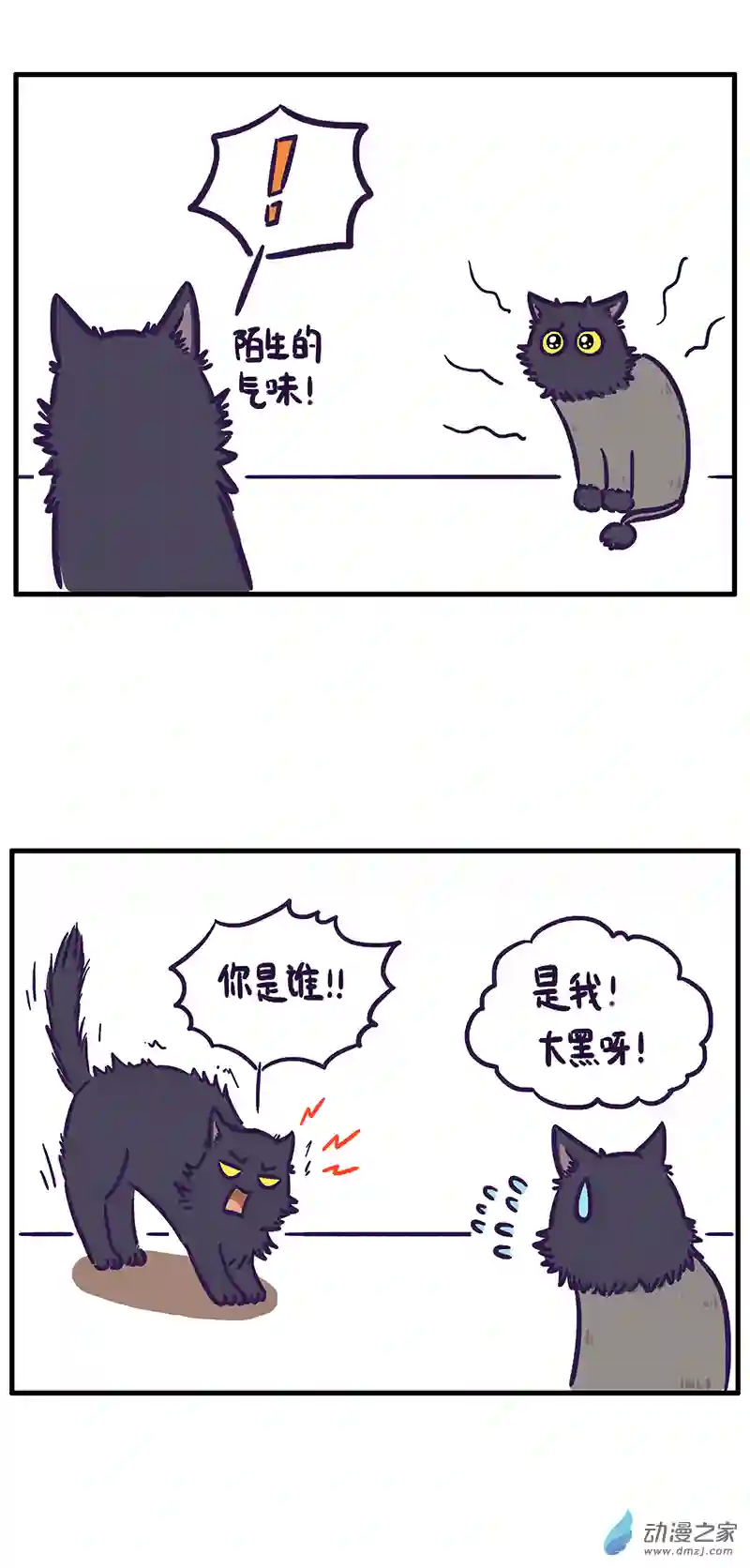 我养的可能不是猫，是...第14话 惊恐一日游（下）