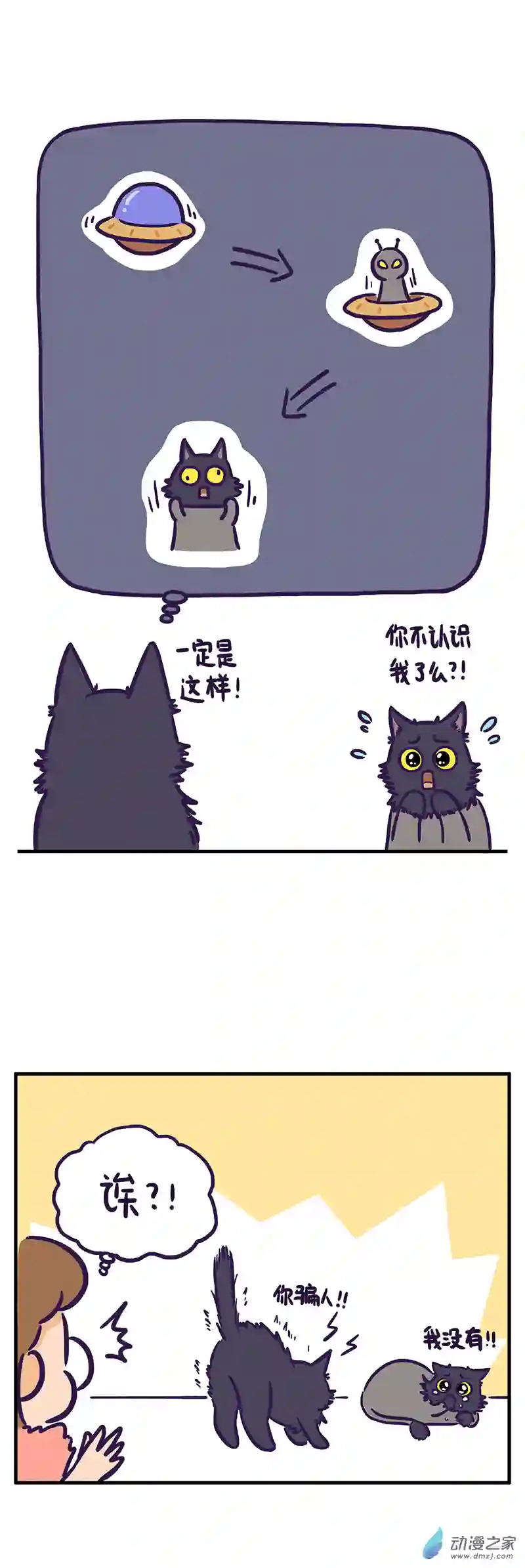 我养的可能不是猫，是...第14话 惊恐一日游（下）