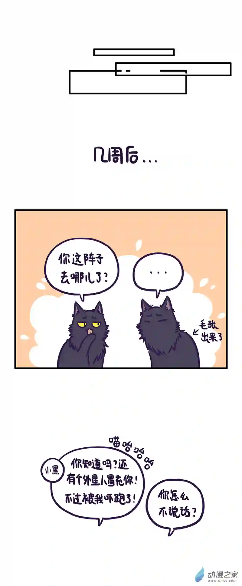 我养的可能不是猫，是...第14话 惊恐一日游（下）