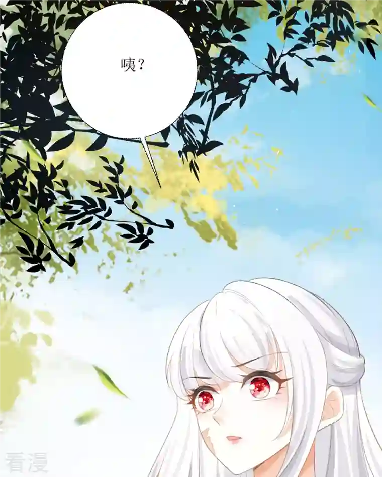 顶级恶魔的千金第16话 你太过分了