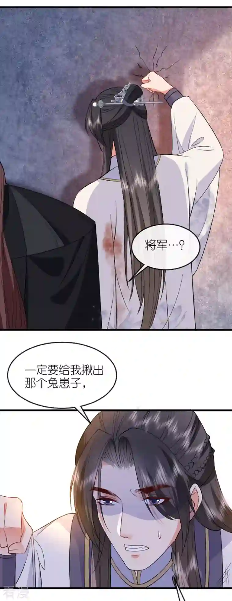 将军，本妃不承宠第22话 公主表白