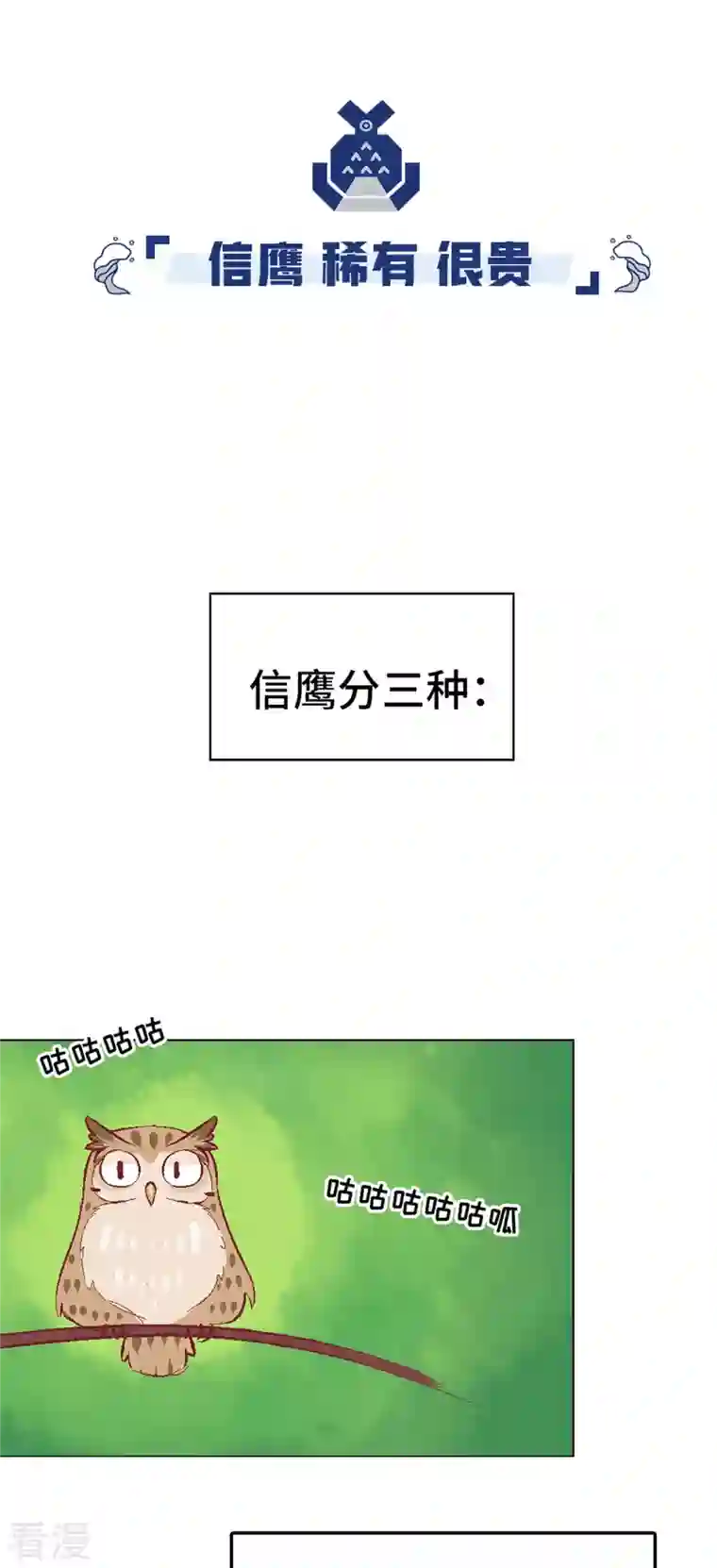 猫之茗第14话 新手入城