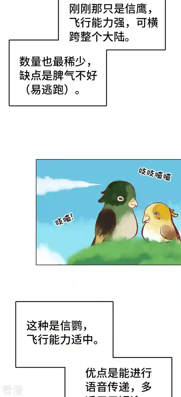 猫之茗第14话 新手入城