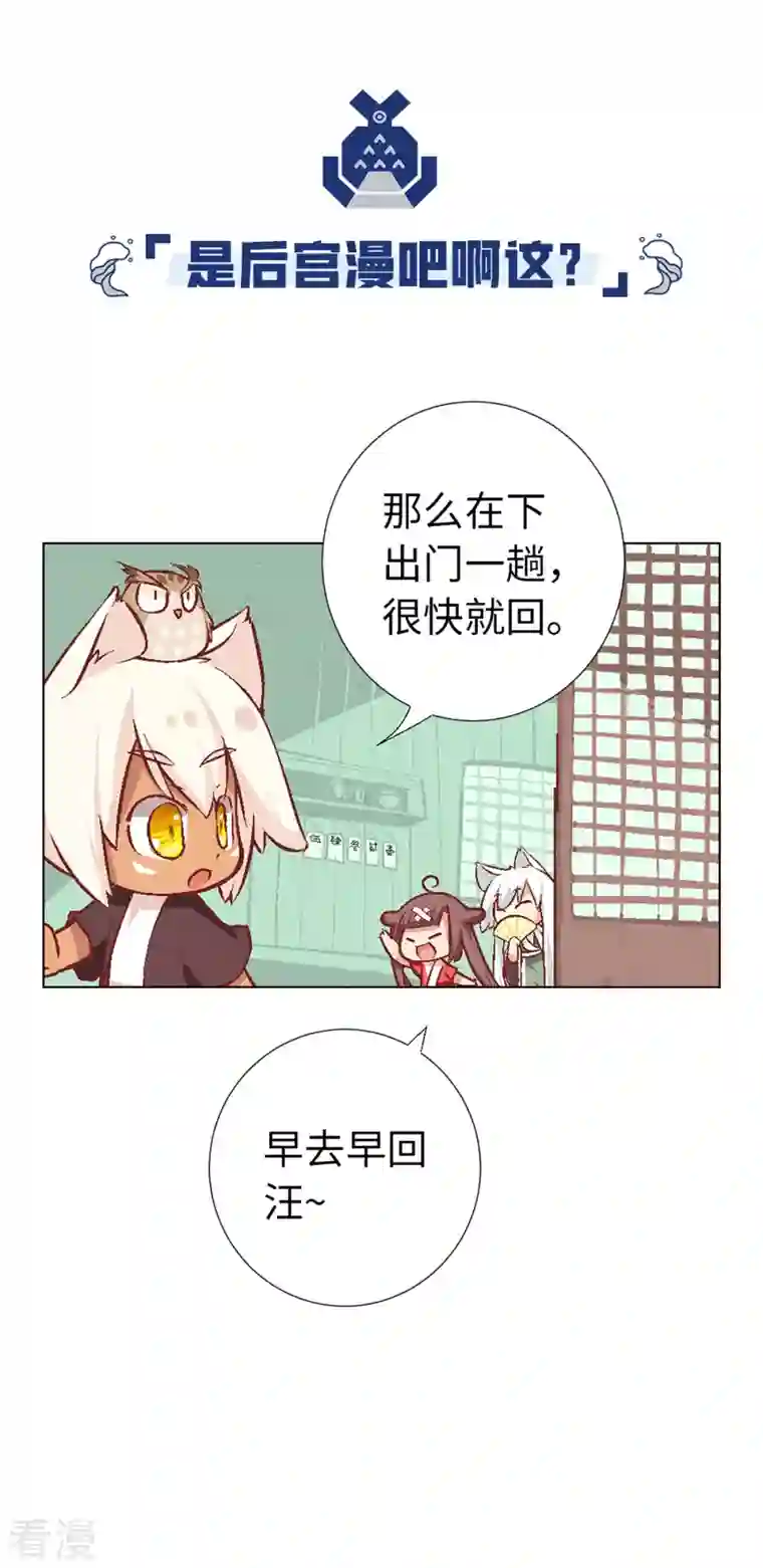 猫之茗第14话 新手入城