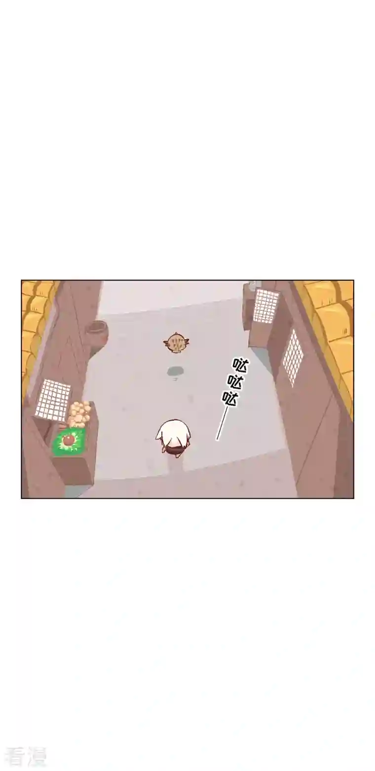 猫之茗第14话 新手入城