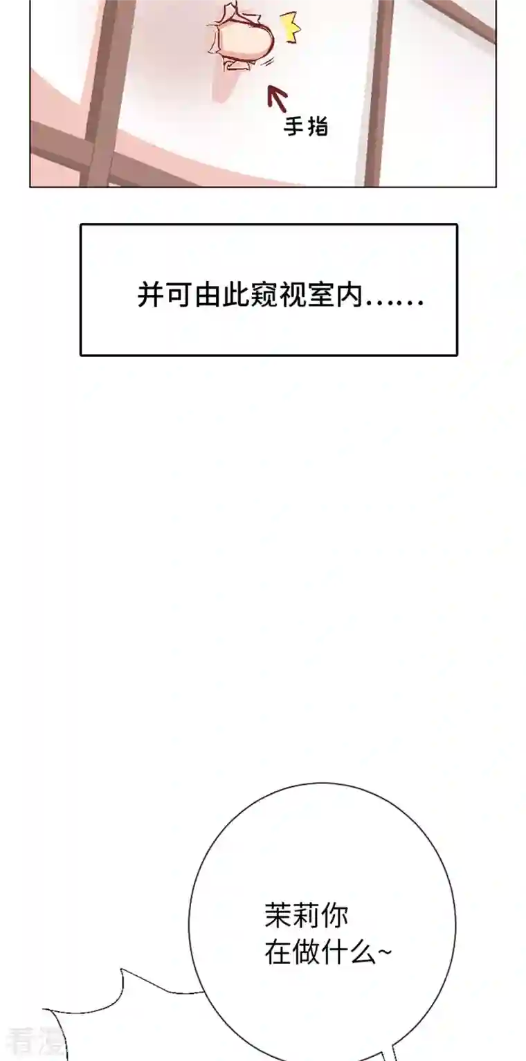 猫之茗第14话 新手入城