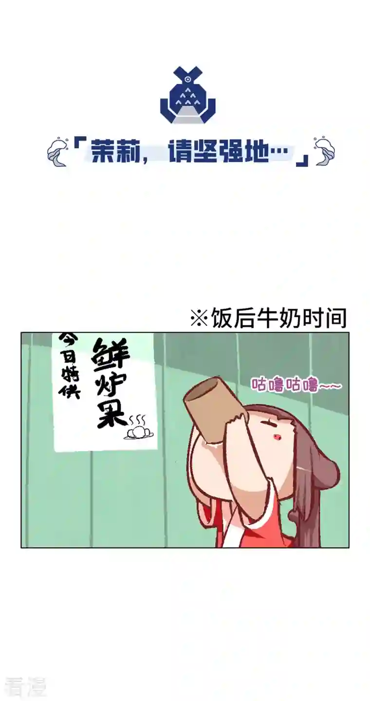 猫之茗第14话 新手入城