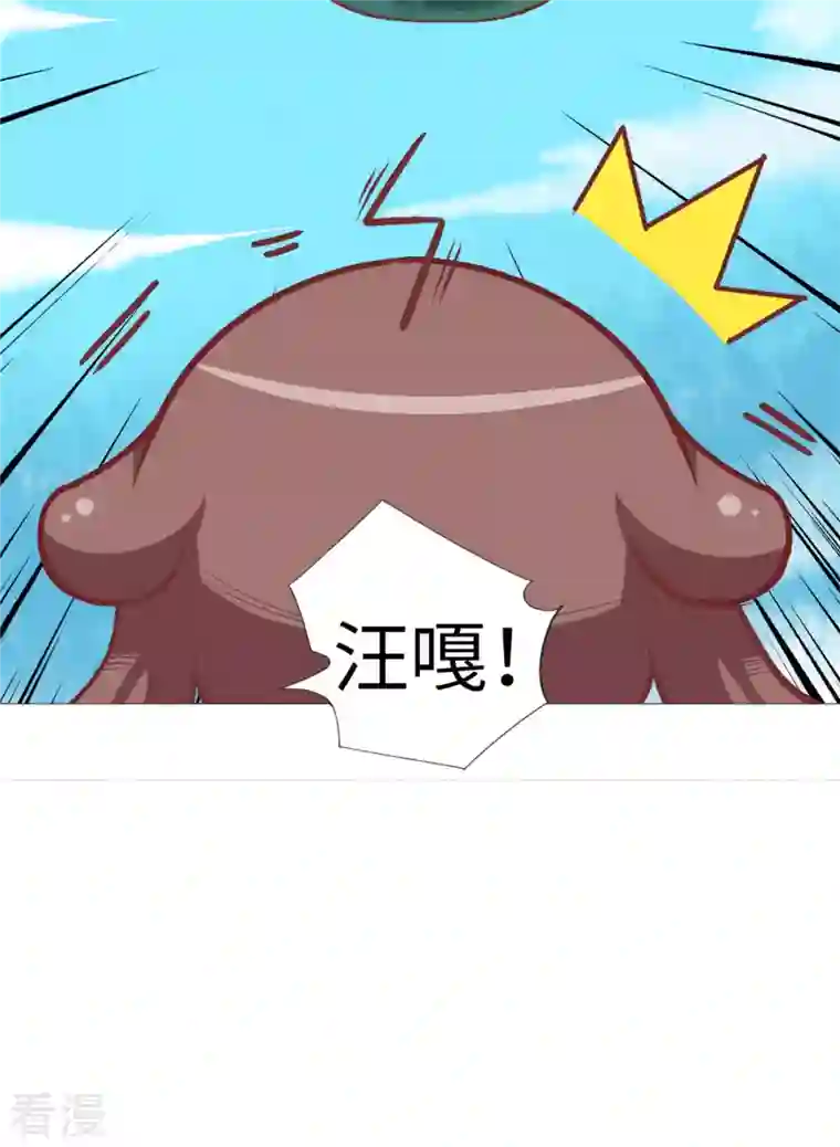 猫之茗第17话 看看人家