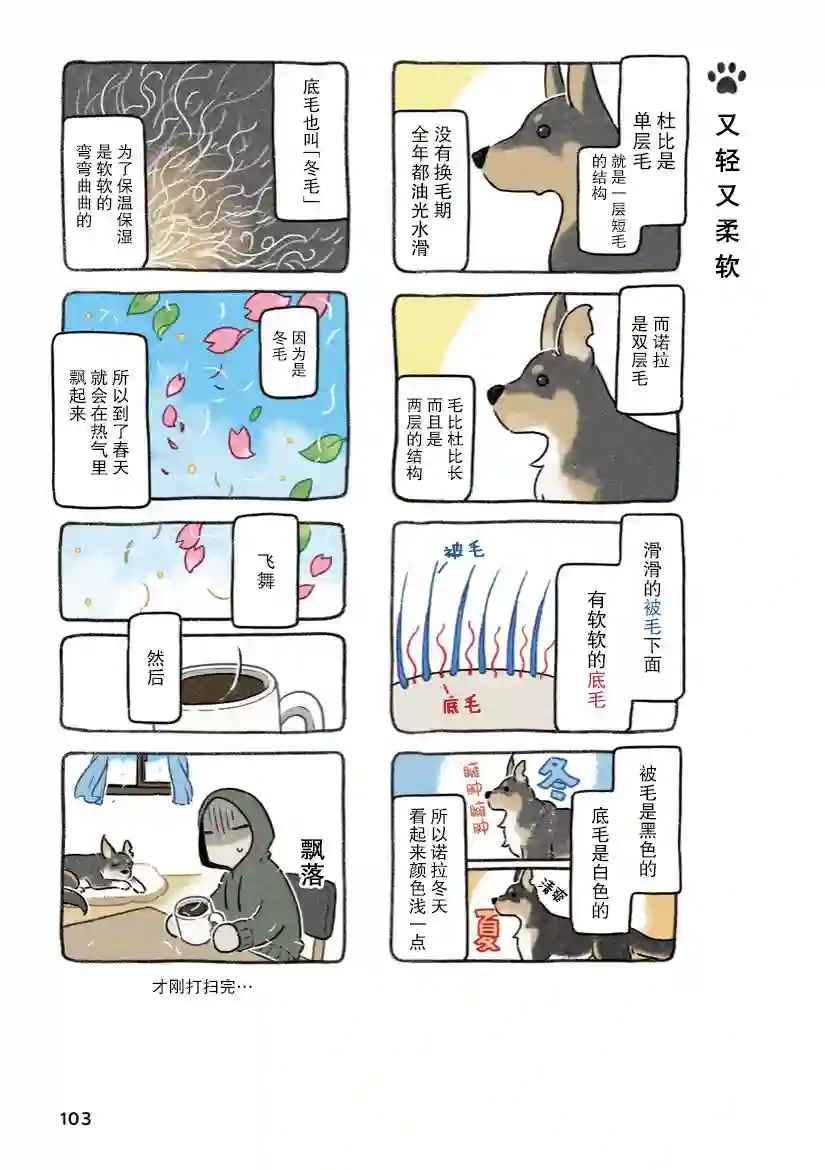 杜比与诺拉 狗狗赐予我的温柔世界第07话