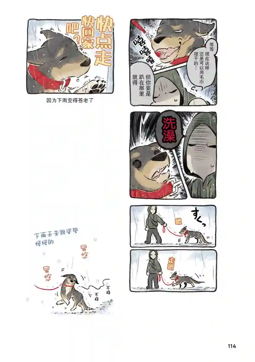 杜比与诺拉 狗狗赐予我的温柔世界第07话