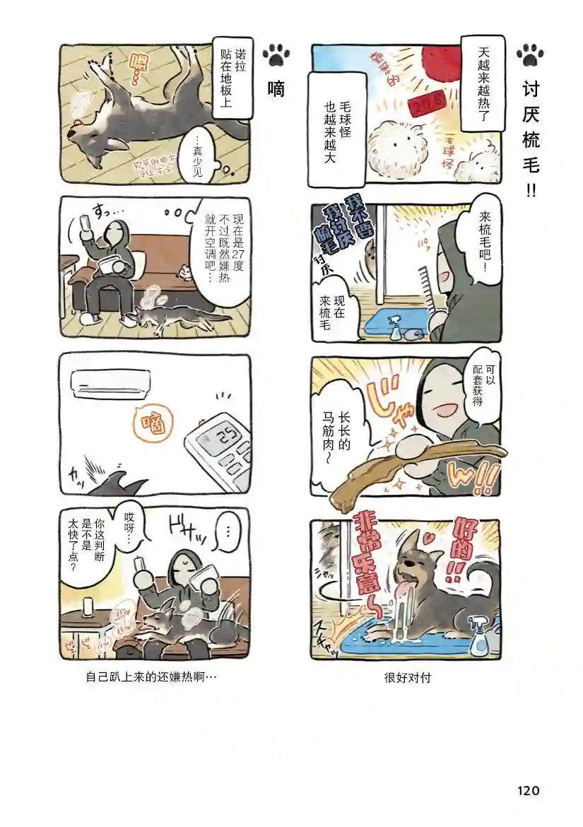 杜比与诺拉 狗狗赐予我的温柔世界第07话