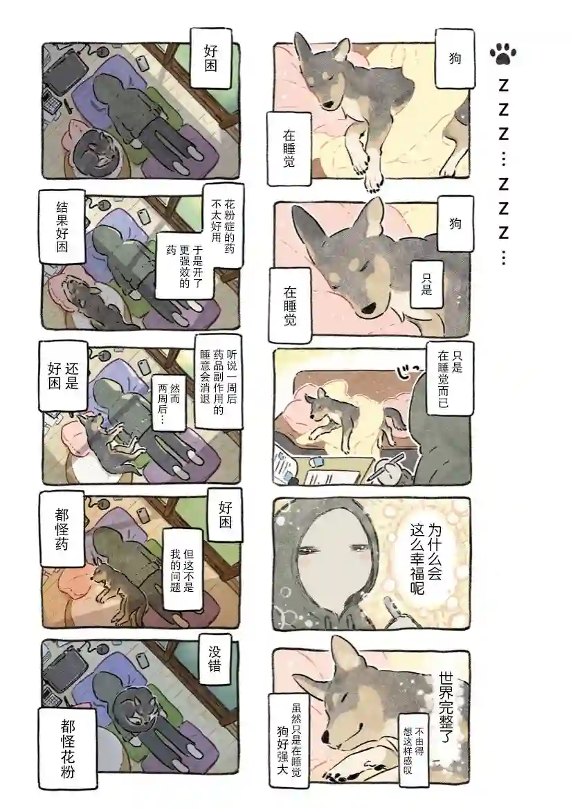 杜比与诺拉 狗狗赐予我的温柔世界第07话