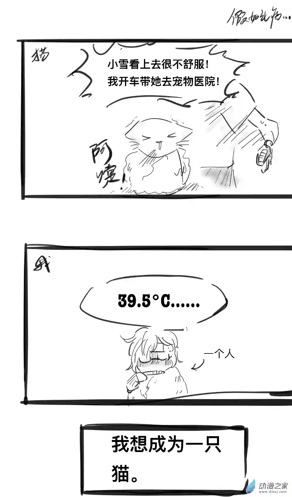 我想成为一只猫07