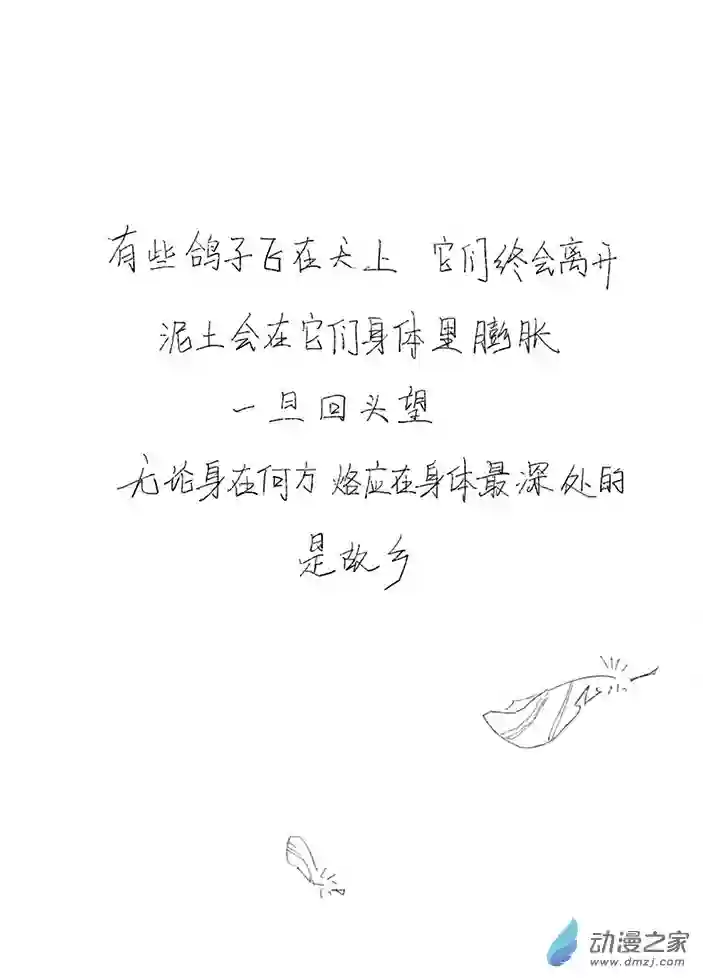 白鸽全一话