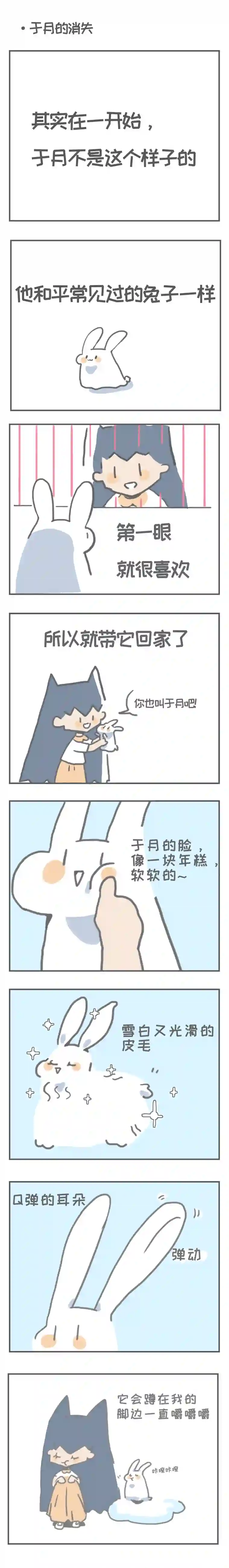 宇宙和蚂蚁于月的消失