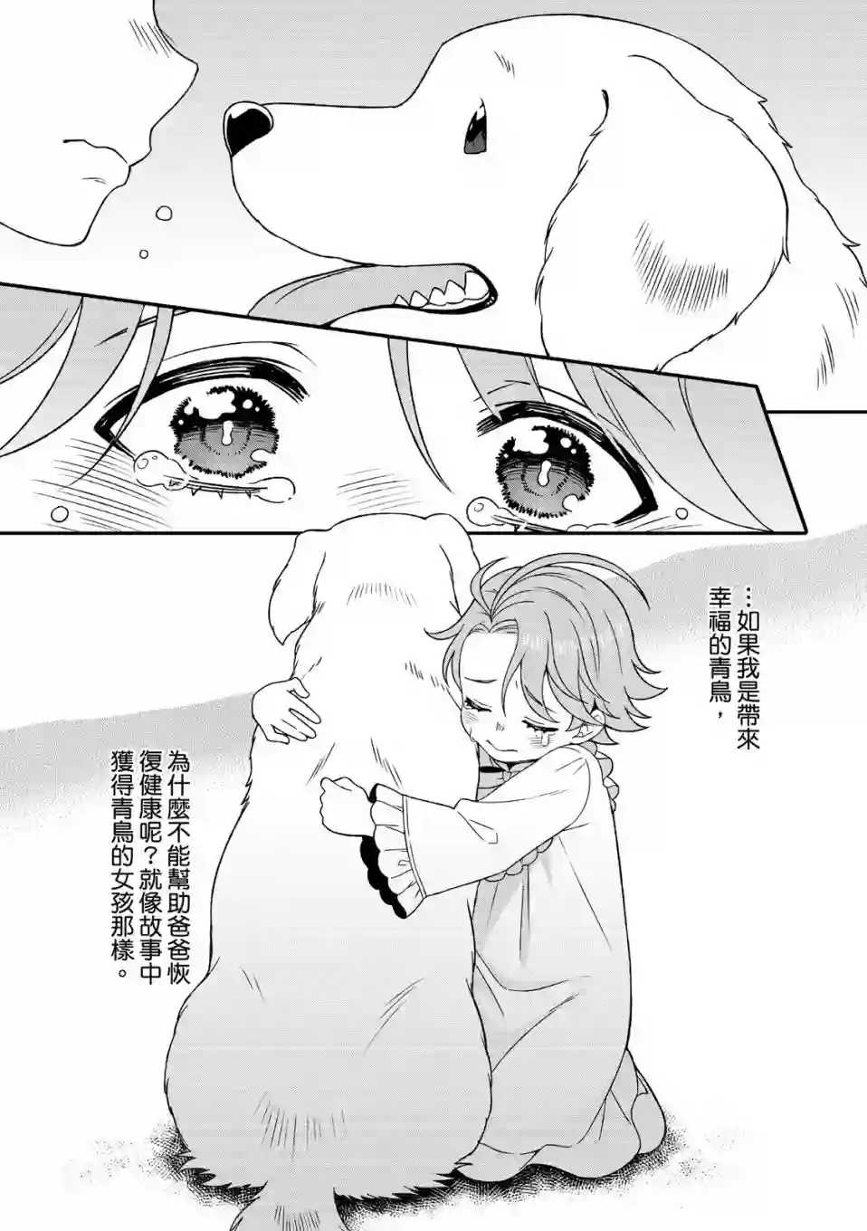 青鸟的幻象第02话