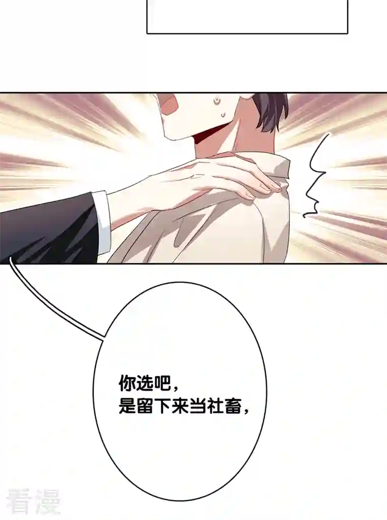 星梦偶像计划第326话