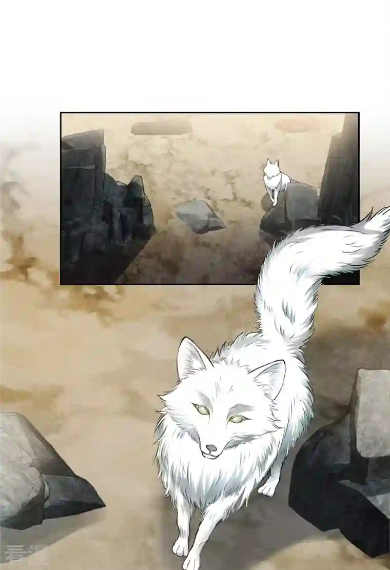 长相思第140话 担忧