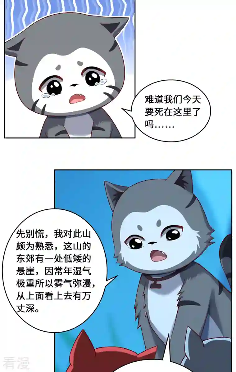 吾本是猫第100话 迎战