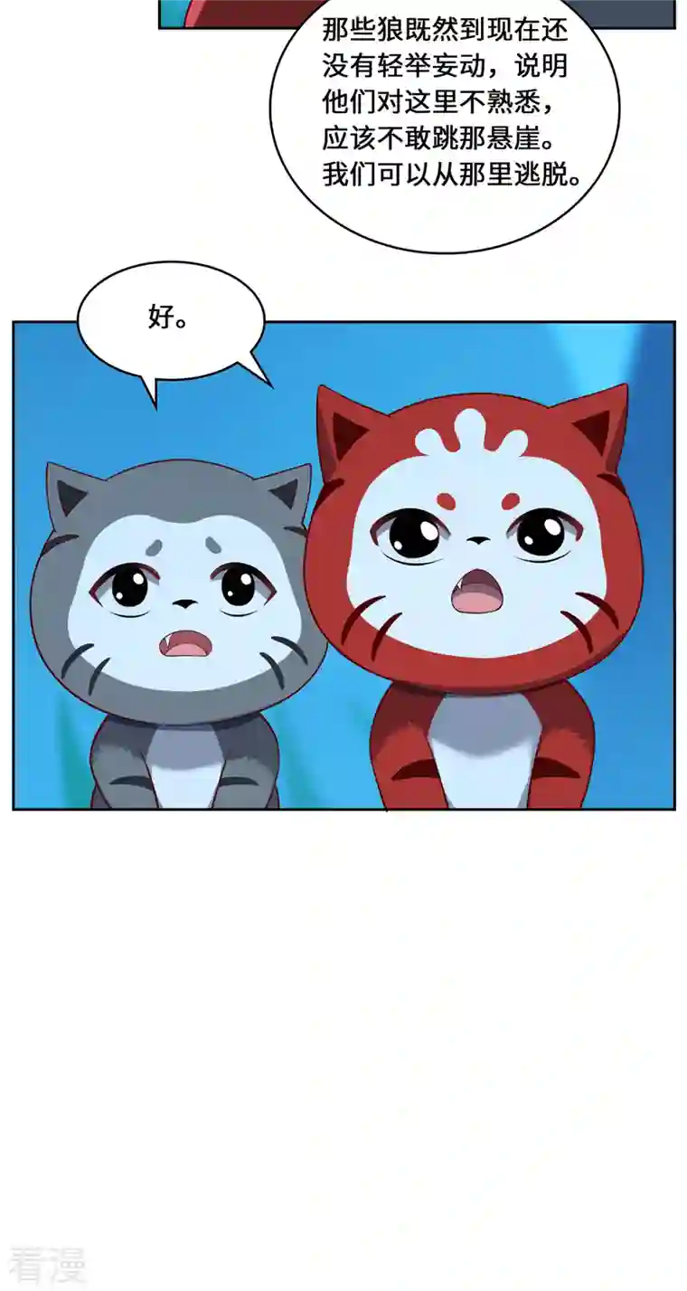 吾本是猫第100话 迎战