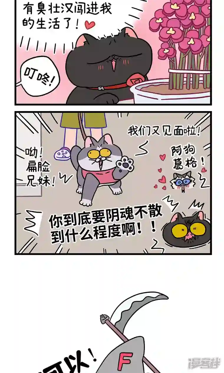 阿满和麦茶第101话2 哥哥不同意