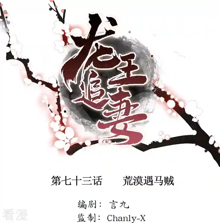 龙王追妻第73话 荒漠遇马贼