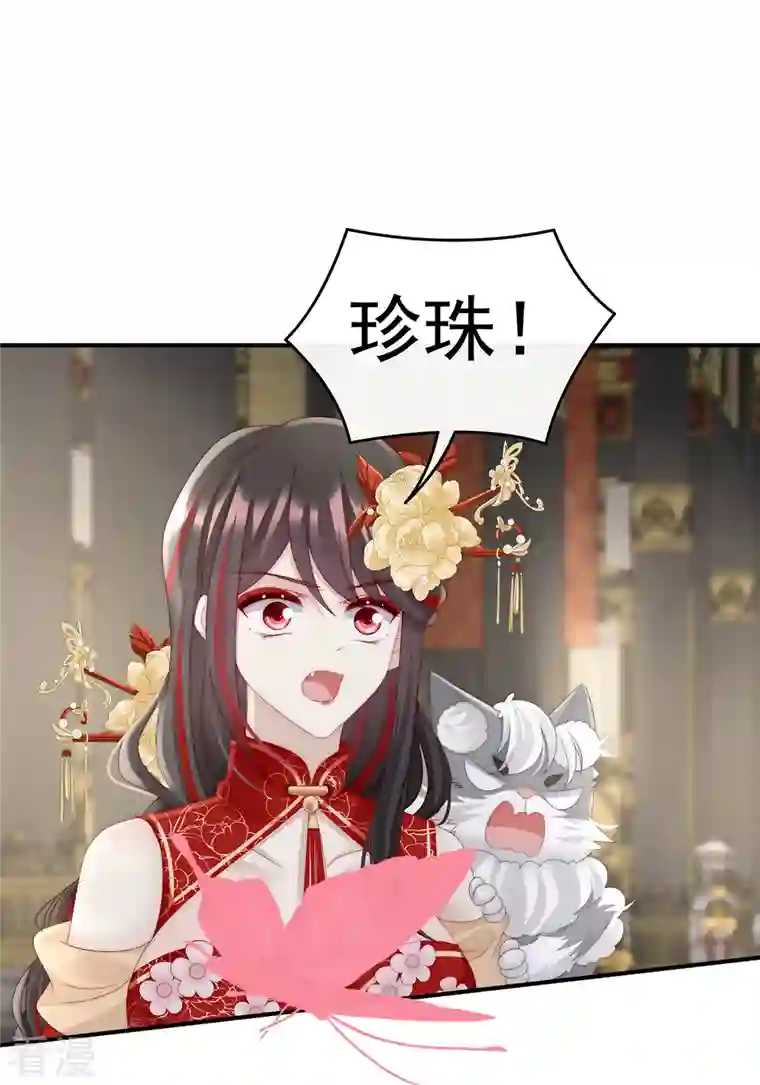妻主，请享用第51话 鲛人现身