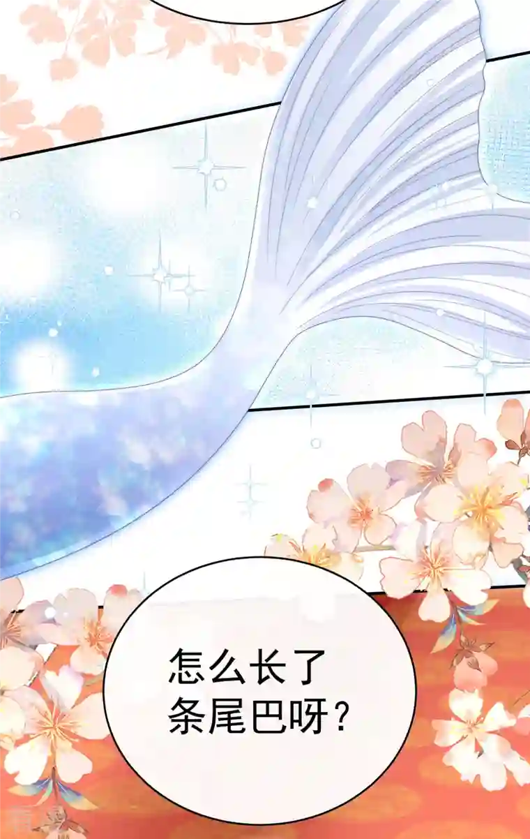 妻主，请享用第51话 鲛人现身