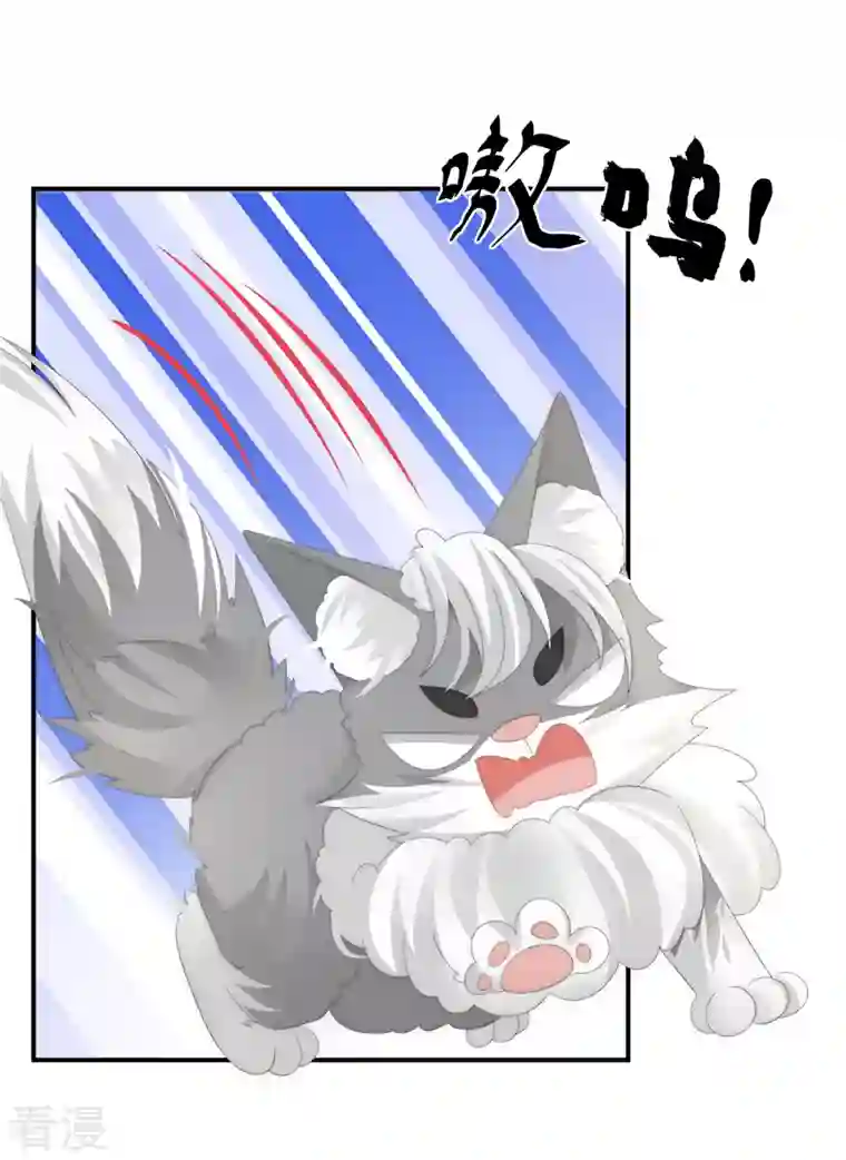 妻主，请享用第51话 鲛人现身