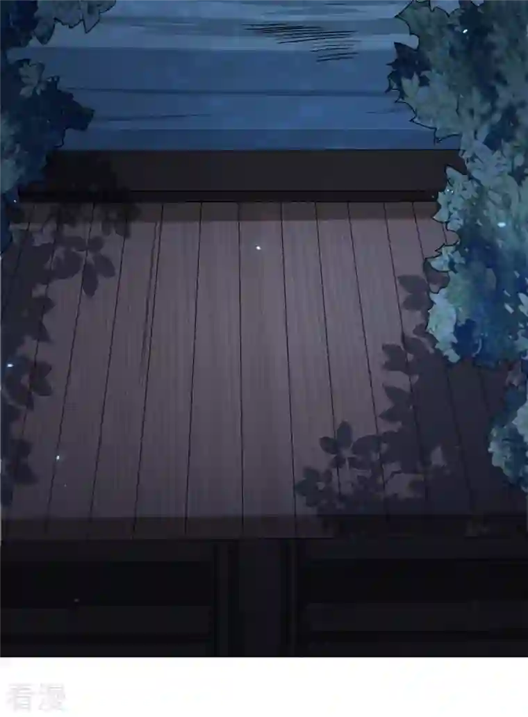 明将军之偷天换日第22话 夜访鲁府