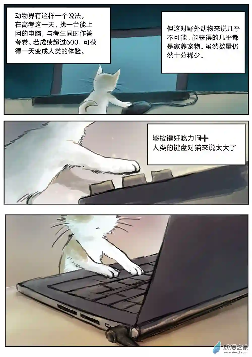 会说话的猫与理工男第03话 快给我变