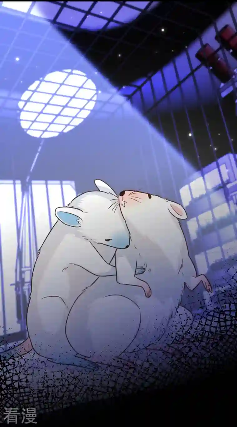 重生空间：豪门辣妻不好惹第346话 永远待在薄倾昂身边