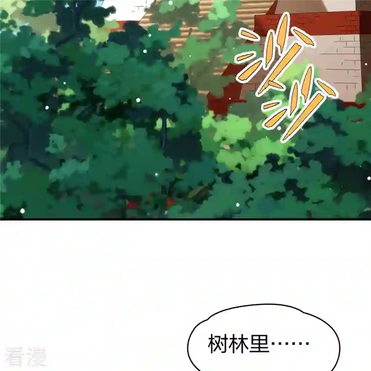 寻找前世之旅第2季第162话 遇袭1