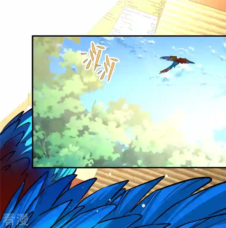 寻找前世之旅第2季第162话 遇袭1