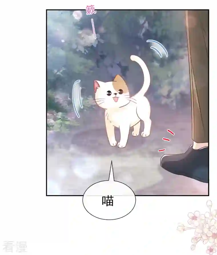 霸道总裁轻轻爱第263话 危险升级