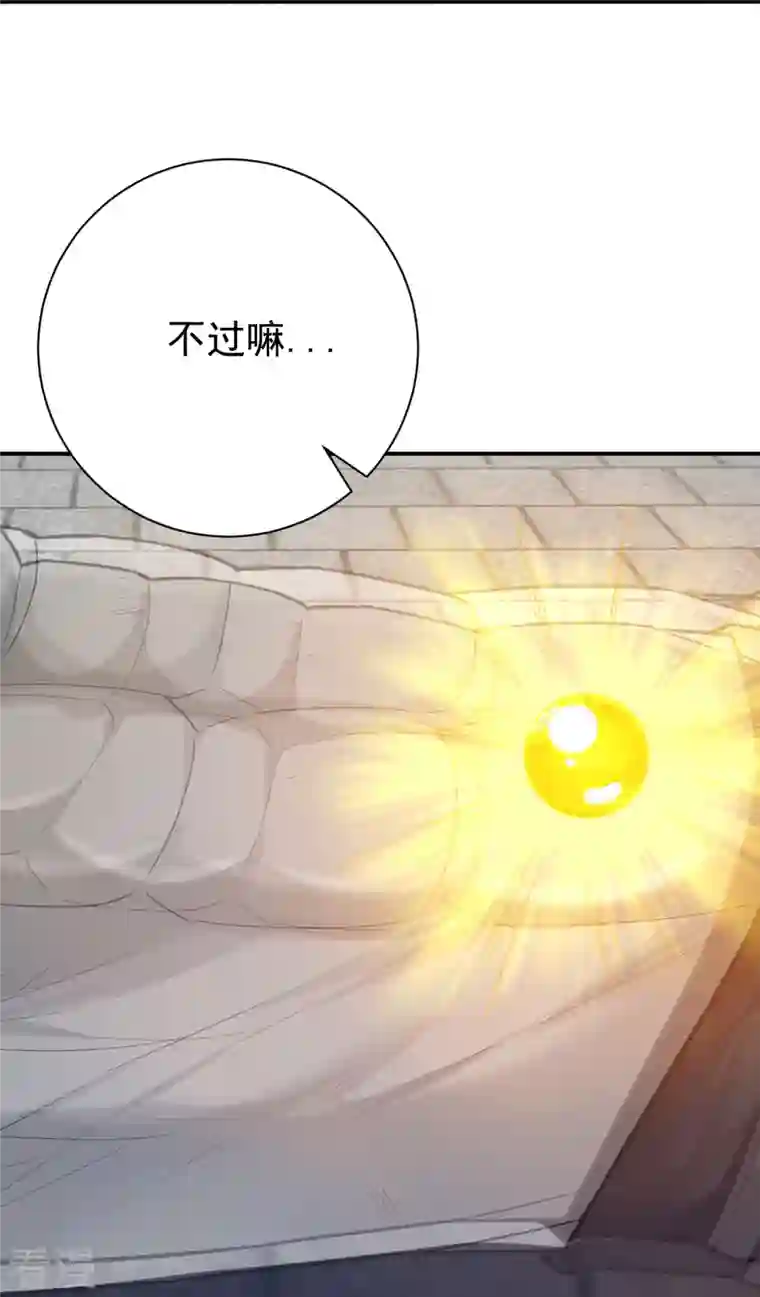 一等家丁第323话 圣师府的静默