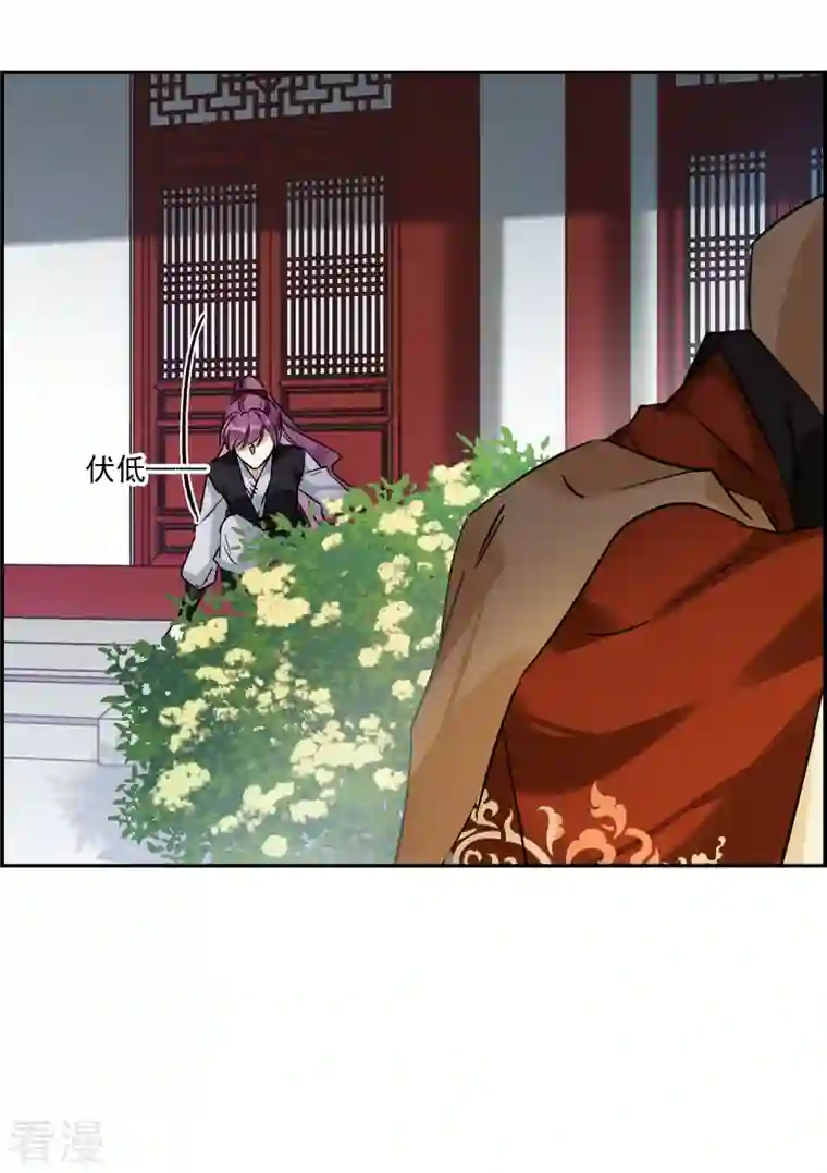 上国赋之千堆雪第341话 回京4