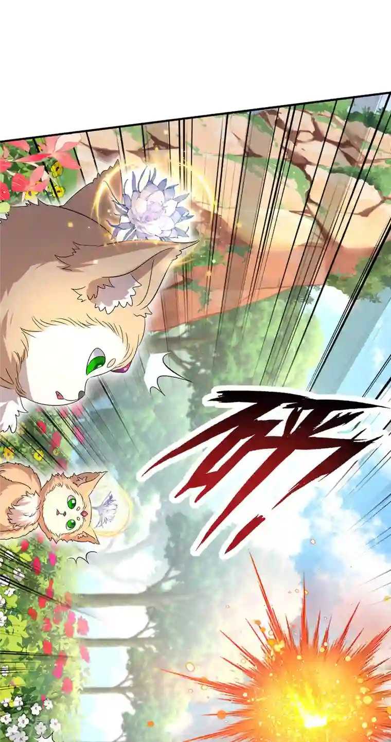 我在异界养男神：神医九小姐第213话 毒翻灵兽