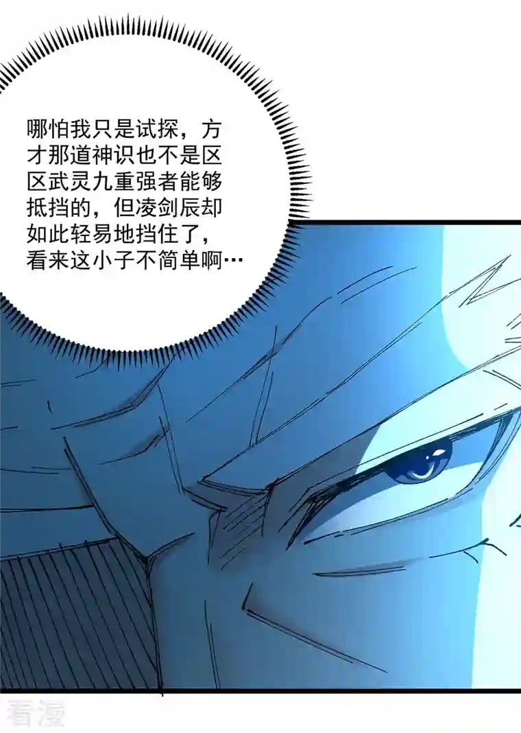 凌天神帝第296话 神识试探