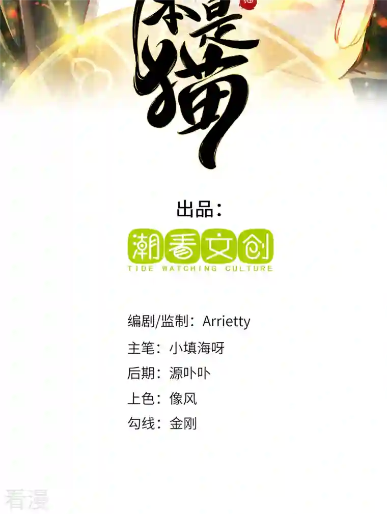 吾本是猫第102话 主场