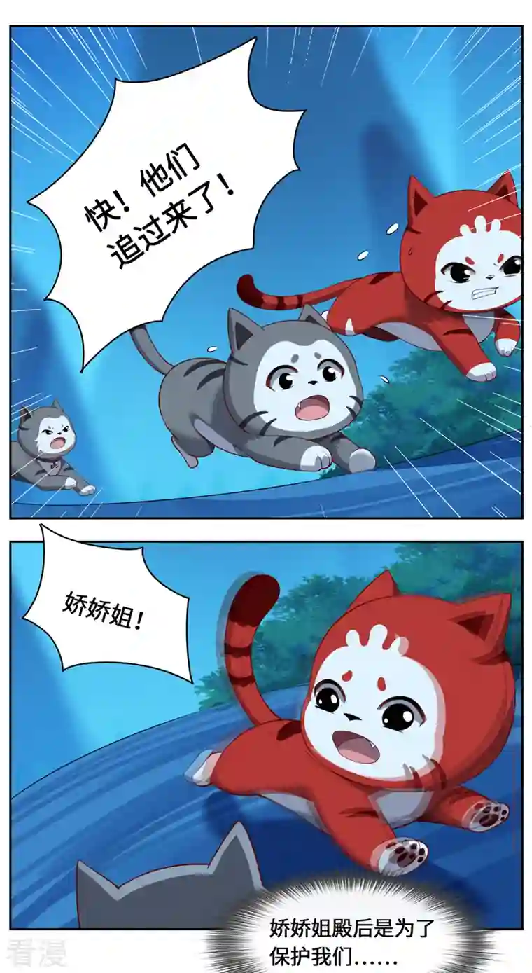 吾本是猫第102话 主场