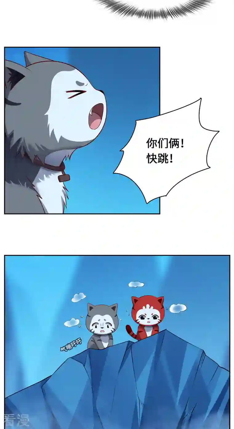 吾本是猫第102话 主场