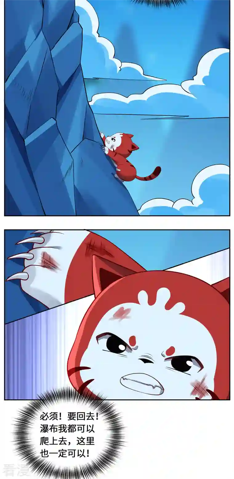 吾本是猫第103话 阻拦