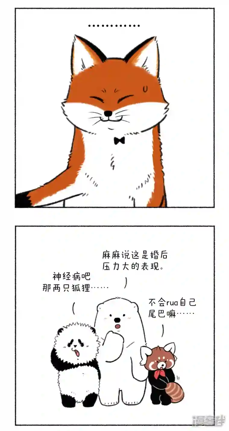 快把动物放进冰箱332大家记得定期叫你的男票来接受净化~