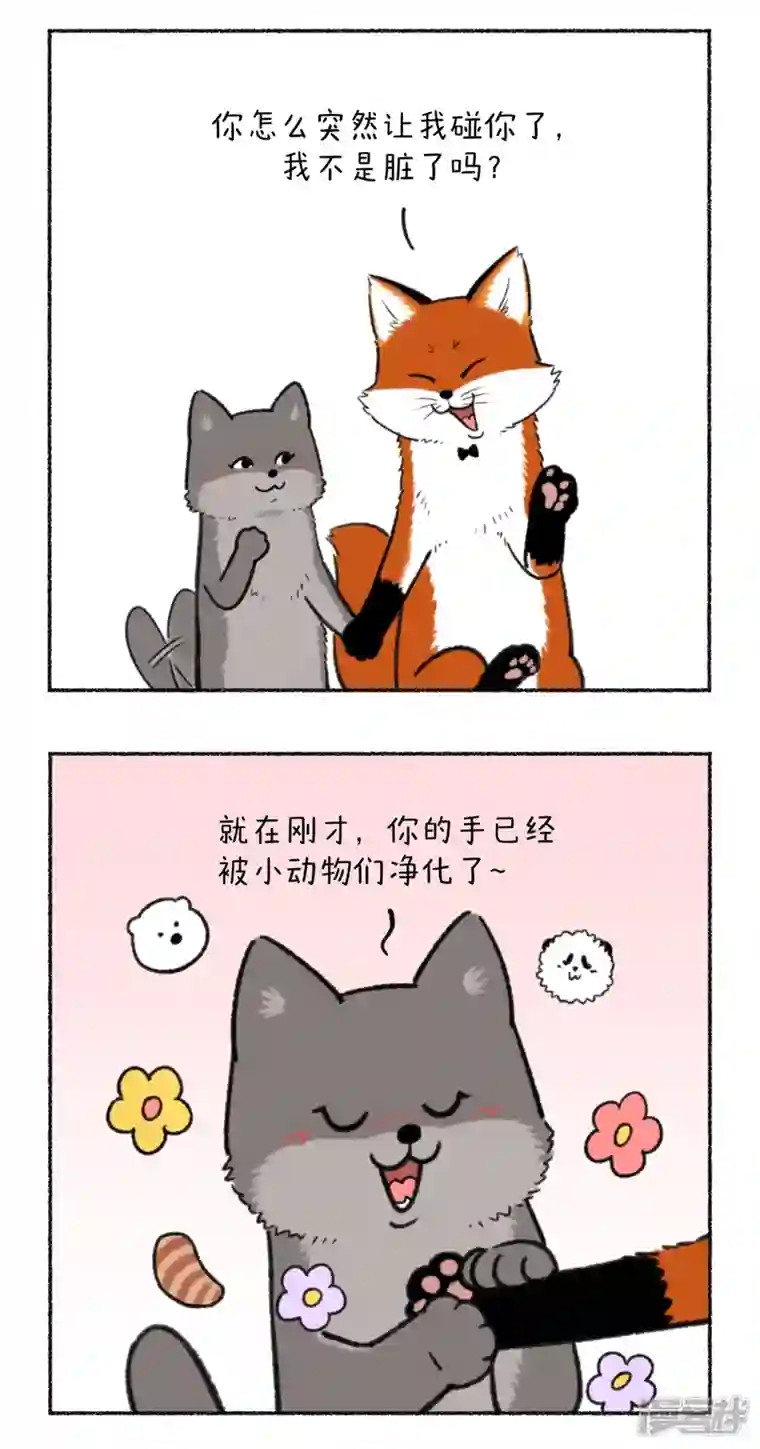 快把动物放进冰箱332大家记得定期叫你的男票来接受净化~