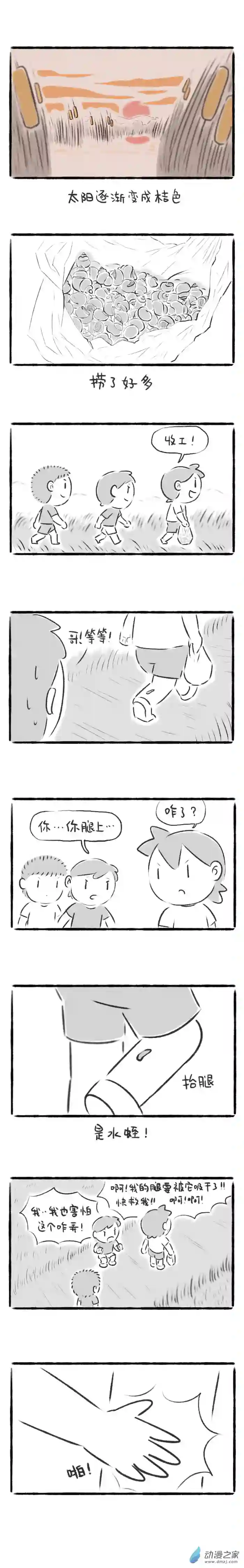 绵绵细雨织回忆79话 甜瓜与田螺