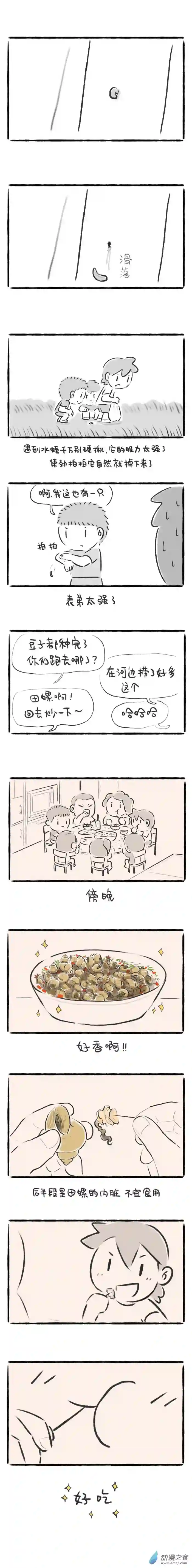 绵绵细雨织回忆79话 甜瓜与田螺