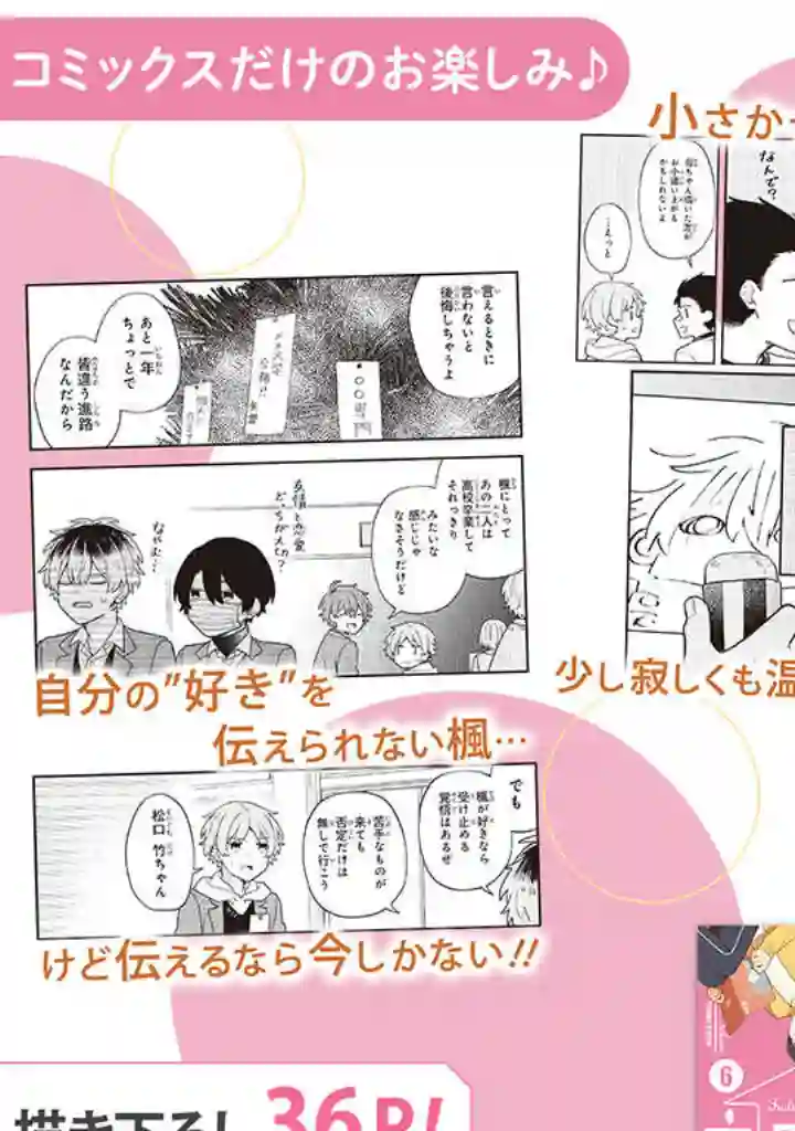 腐男子家族第33话